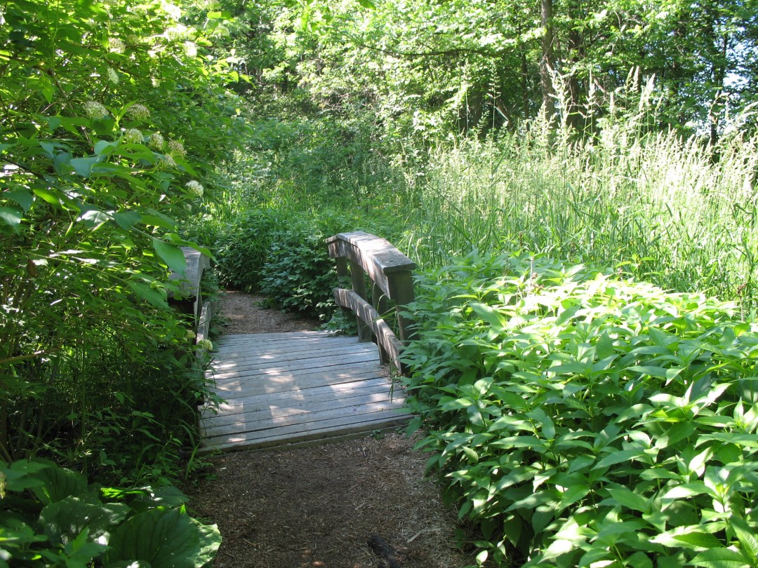 Eloise Butler Wildflower Garden Photo by <a href=2bni1i.html target="_blank">jpellgen/flickr</a>
