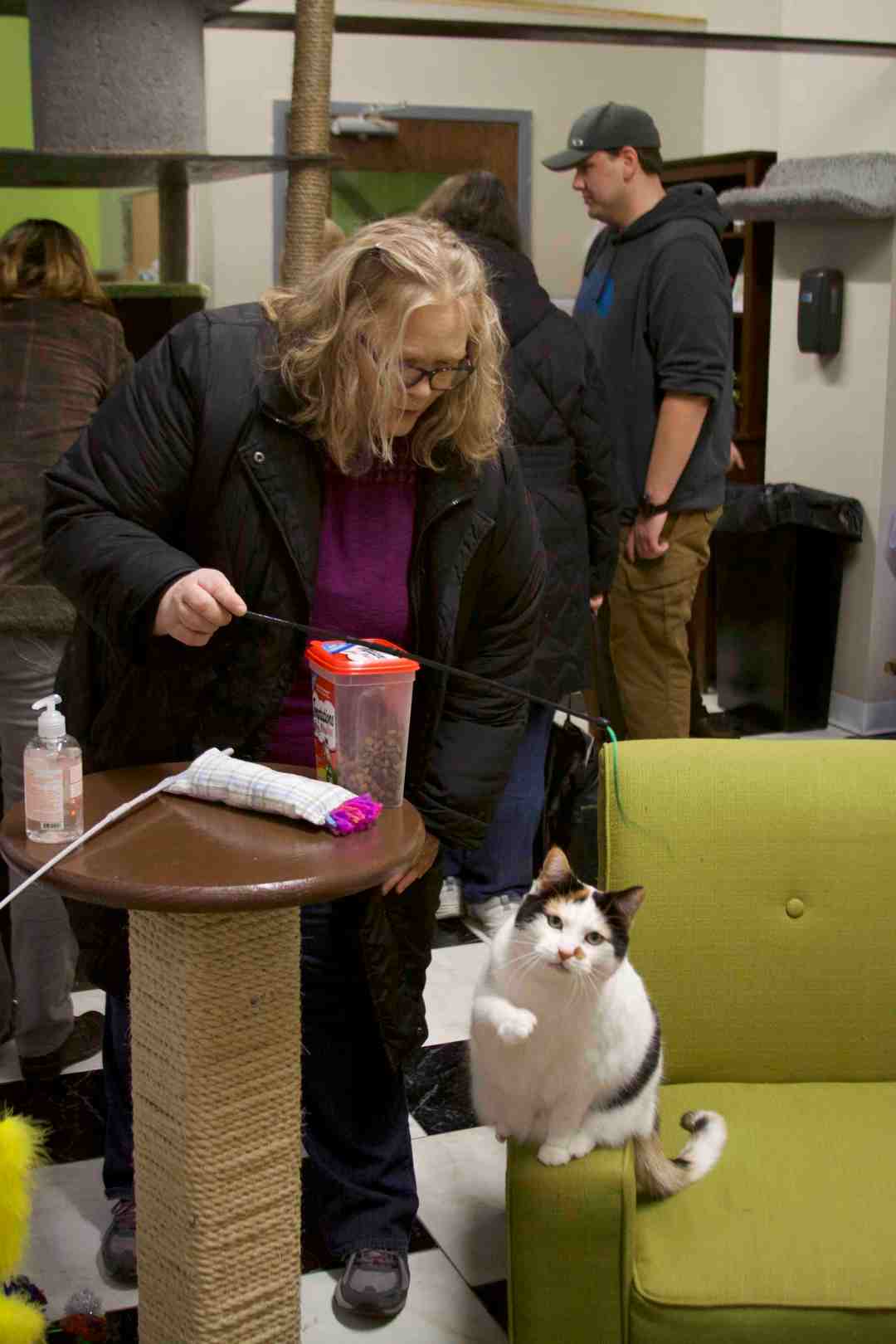 A Playful Cat at The Cafe Meow