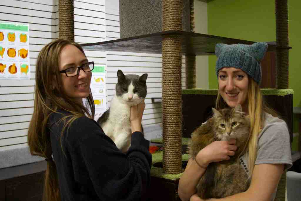 Co-founders Danielle Rasmussen and Jessica Burge smile with their cats at The Cafe Meow.