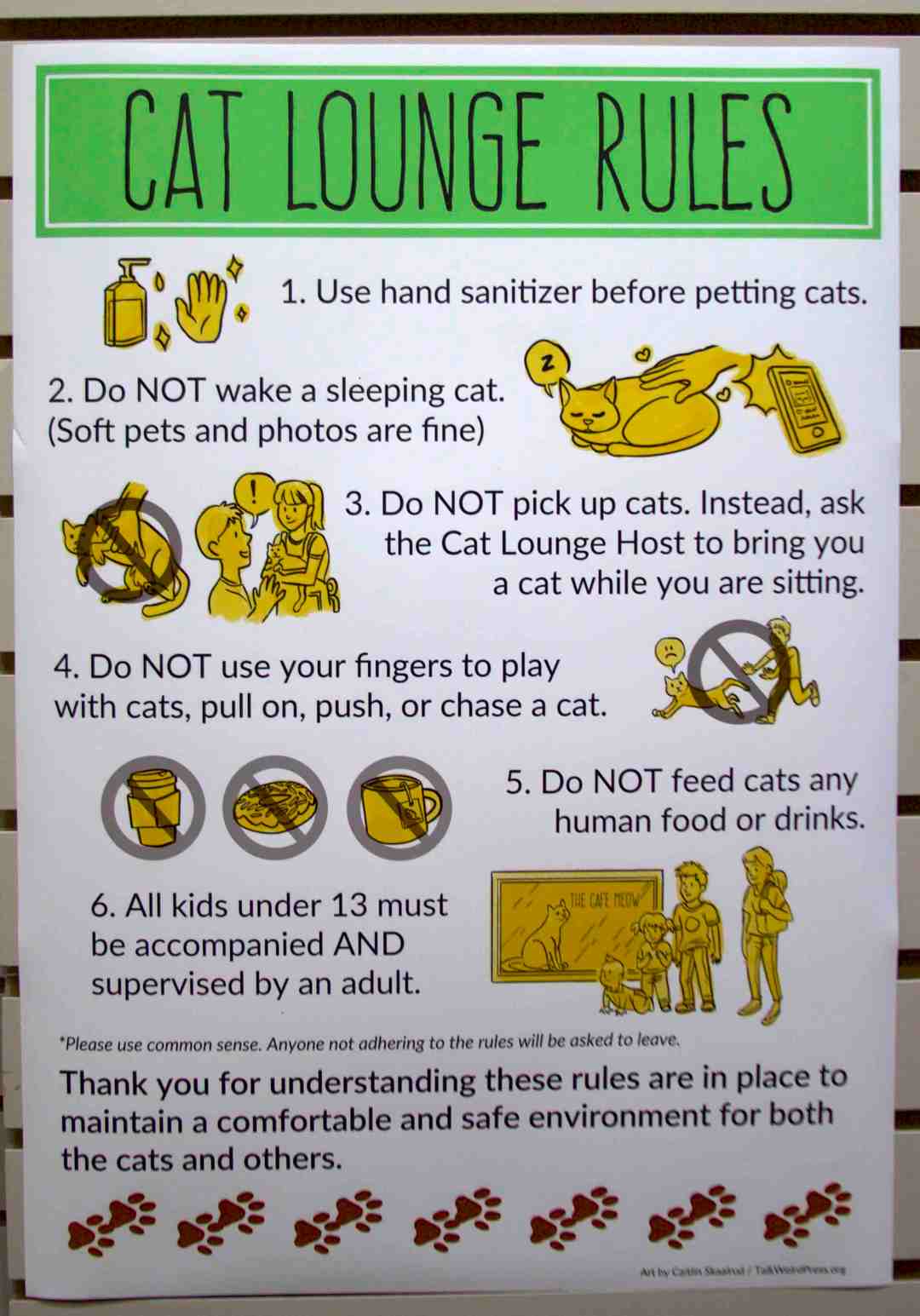 The Rules of the Cat Room
