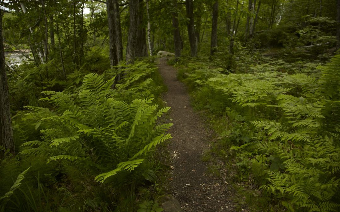 Mountain Biking