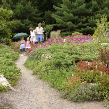 Peace Garden 1_Courtesy of Minneapolis Park and Recreation Board A family walks down the gently curving path of the Peace Garden while admiring the flowers.