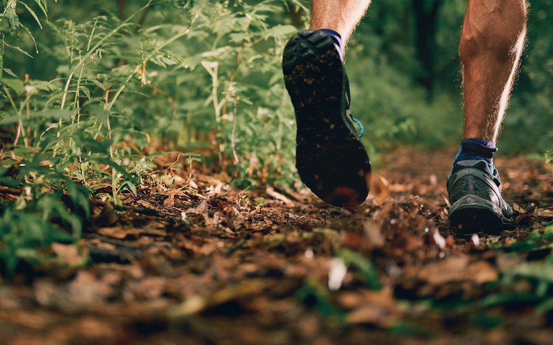 Trail Running in Minneapolis and St. Paul