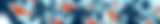 long banners for web (3).png